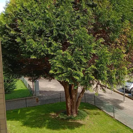 Praceta Apartment